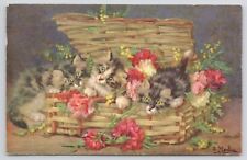 Three Long Haired Calico Kittens Cats in Basket w/Flowers 1954 Divided Postcard picture