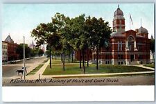 Kalamazoo Michigan MI Postcard Academy Of Music And Court House c1905's Antique picture