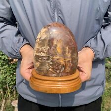 2380g Natural Petrified WoodStone Polished Freefom Crystal Healing Minerals picture