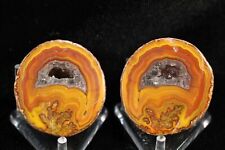 Pair of Fighting Blood Warring States Agates, Hebei, Province, China picture