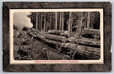 Everett Washington~Logging Train in Forest~Wood-Like Border~1913 B&W PC picture