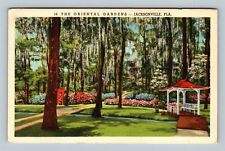 Jacksonville FL, The Oriental Gardens, Florida Vintage Postcard picture