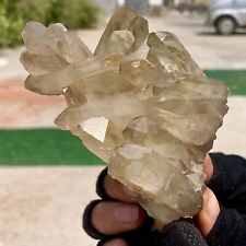 398G Natural Citrine cluster mineral specimen quartz crystal healing picture