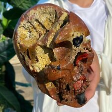 6.6LB Large Natural Warring States Red Agate skull Crystal Healing picture