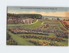 Postcard One of the Terraces of the Hershey Rose Garden Hershey Pennsylvania USA picture