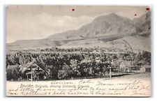 Postcard Boulder, Colorado showing University Grounds 1906 S17 picture