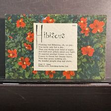 Hibiscus Poem by Elma C Jones St Petersburg Garden Club Florida Vintage Postcard picture