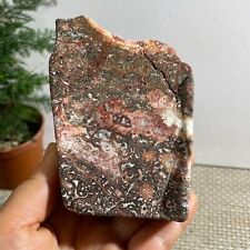 TOP Rare Natural Leopard stone polished Crystal Quartz Tumbled  381g d13 picture