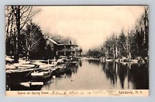 Caledonia NY-New York, Scene on Spring Creek Vintage Souvenir Postcard picture