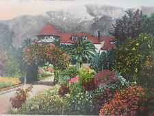 C 1910 Flower Beds & Snow Banks Winter Scene in Beautiful CA Pasadena Postcard picture