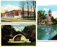 Lot of 3 - WB Postcards - Albion, Michigan - School, Church, & Park - VG picture
