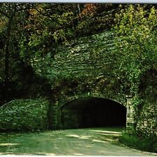 c1950s Winterset, IA Pammel State Park Tunnel Chrome Photo Clee R. Crawford A146 picture