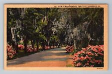 Savannah GA-Georgia Bonaventure Cemetery Moss Trees Vintage c1948 Postcard picture