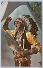 Postcard Indian Chief in Full Dress DR-97211-B picture