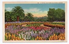 Linen Postcard, Typical Southern California Garden picture