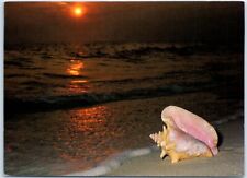 Postcard - Majestic sunset, Along the Gulf Coast picture