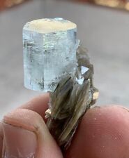 12 Gram   Aquamarine Jimmy Cristal On  Mica From Nagar  Gilgit Pakistani picture