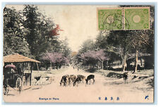 1911 Deer Animal Scene Horse Carriage Kasuga at Nara Japan Antique Postcard picture