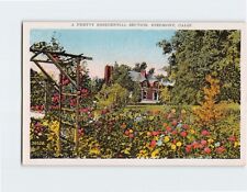 Postcard A Pretty Residential Section Piedmont California USA picture