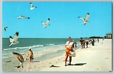 Marco, Island, Florida - Flying Sea Gull on the Beach - Vintage Postcard picture