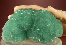 RICH GREEN STEPPED FLUORITE CRYSTALS SUPERB DETAIL, XINYANG CHINA GLOBE MINERALS picture