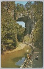 Bridge~Natural Bridge Virginia~Photographer~Trumpeter Swans~Vintage Postcard picture
