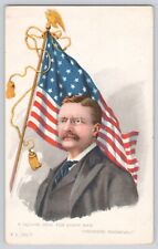Postcard United States President Theodore Roosevelt Patriotic Flag Rotograph Co. picture