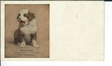 AY-266 Born Tired, Hood Sarsaparilla 1901-07 Undivided Back Advertising Postcard picture