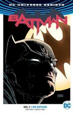 Batman 1: I Am Gotham picture