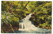 Pennsylvania PA Postcard Waterfall Scenic picture