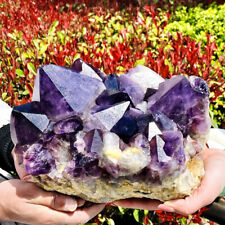 19LB Natural amethyst cluster quartz crystal mineral specimen reiki healing picture