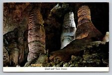 Carlsbad Caverns National Park New Mexico Vintage Posted 1980 Postcard picture