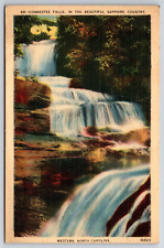 Connestee Falls Sapphire Country 1952 North Carolina NC Vintage Linen Postcard picture