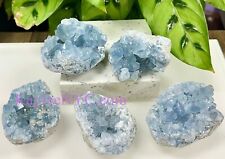 Wholesale Lot 5-6 Pcs Natural Celestite Cluster Raw Crystal Healing Energy picture
