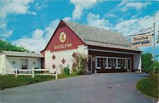 Distelfink Gift Shop in Allentown, Pennsylvania PA vintage unposted picture