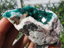 Minerals Dioptase Green With Wulfenite Namibia picture