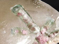 HUGE Quartz Crystal with Watermelon Tourmaline Crystals and Lepidolite 2482gr picture