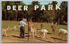 Deer Park Coudersport PA Pennsylvania Postcard picture