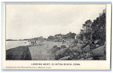 c1905 Looking West Clinton Beach Connecticut CT The Hunter Photo Co. Postcard picture