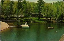 Vintage Postcard- Pickett State Park, near Jamestown TN 1960s picture