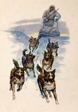 1972 Russian North Chukotka Sled Dogs Vintage Postcard picture