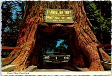 Postcard - Chandelier Drive-Thru Tree, California, USA picture