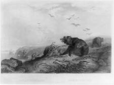 Rowboat coming ashore,desolate coastline,ravaging bears,approaching hunters,1840 picture
