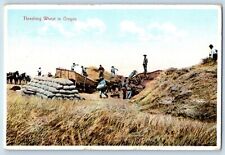 Buxton Oregon OR Postcard Threshing Wheat In Oregon Farming 1909 Posted Antique picture