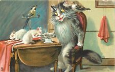 Tuck Humorous Cats Postcard 122 M. Boulanger, Cat has Tea w/ Rats & Birds picture