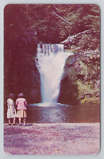 Buck Hill Falls in the beautiful Pocono Mountains of Pennsylvania Postcard 2965 picture