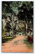 c1910's The Road To De Land Street Near Daytona Florida FL Unposted Postcard picture