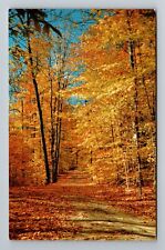 A Country Road In Autumn Foliage Vintage Souvenir Postcard picture