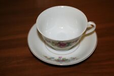Occupied Japan Hand Painted Porcelain Cup & Saucer ROSETTI CHICAGO USA picture