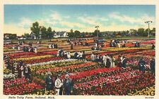 Holland MI-Michigan, Tulip Farm Flowers Bed Floral Vintage Postcard c1930 picture